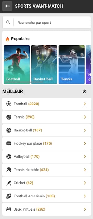 melbet paris sportifs disponibles
